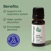 image:imagePlant Therapy Organic Tea Tree Oil Melaleuca 10 mL USDA Certified Organic