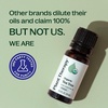image:imagePlant Therapy Organic Tea Tree Oil Melaleuca 10 mL USDA Certified Organic