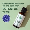 image:imagePlant Therapy Organic Tea Tree Oil Melaleuca 30 mL USDA Certified Organic