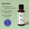 image:imagePlant Therapy Organic Tea Tree Oil Melaleuca 30 mL USDA Certified Organic