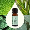 image:imagePlant Therapy Organic Tension Ease Essential Oil Blend 10 mL 13 oz 100 Pure USDA Certified Organic Undiluted Natural Headache Relief