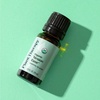 image:imagePlant Therapy Organic Tension Ease Essential Oil Blend 10 mL 13 oz 100 Pure USDA Certified Organic Undiluted Natural Headache Relief