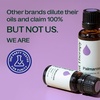 image:imagePlant Therapy Palmarosa Essential Oil 10 mL 13 oz 100 Pure Undiluted Natural Aromatherapy Healthy Skin Emotional Balance