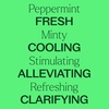 image:imagePlant Therapy Peppermint Essential Oil 10 mL 13 oz PreDiluted RollOn
