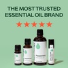 image:imagePlant Therapy Peppermint Essential Oil 100 mL 33 oz