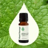 image:imagePlant Therapy Peppermint Western US Essential Oil 10 mL 13 oz 100 Pure Undiluted Aromatherapy Attention Focus and Cooling Relief