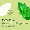 image:imagePlant Therapy Peppermint Western US Essential Oil 10 mL 13 oz 100 Pure Undiluted Aromatherapy Attention Focus and Cooling Relief