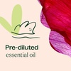 image:imagePlant Therapy Rose Absolute PreDiluted Essential Oil Perfume RollOn