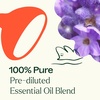 image:imagePlant Therapy Sensual Essential Oil Blend PreDiluted RollOn 10 mL 13 oz 100 Pure Natural Aromatherapy for Couples Romantic Massage Desire