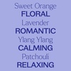 image:imagePlant Therapy Sensual Essential Oil Blend PreDiluted RollOn 10 mL 13 oz 100 Pure Natural Aromatherapy for Couples Romantic Massage Desire