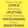 image:imagePlant Therapy Sweet Orange Organic Essential Oil 100 mL 33 oz 100 Pure USDA Certified Organic Undiluted Natural Aromatherapy Fresh Scent for Home Cleaning and Skin Care