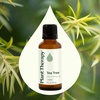 image:imagePlant Therapy Tea Tree Essential Oil 30 mL 1 oz 100 Pure Undiluted