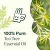 image:imagePlant Therapy Tea Tree Essential Oil 30 mL 1 oz 100 Pure Undiluted