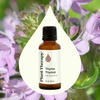 image:imagePlant Therapy Thyme Thymol Essential Oil 30 mL 1 oz 100 Pure Undiluted Natural Aromatherapy for Immune Support and Digestive Relief
