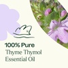 image:imagePlant Therapy Thyme Thymol Essential Oil 30 mL 1 oz 100 Pure Undiluted Natural Aromatherapy for Immune Support and Digestive Relief