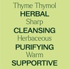 image:imagePlant Therapy Thyme Thymol Essential Oil 30 mL 1 oz 100 Pure Undiluted Natural Aromatherapy for Immune Support and Digestive Relief