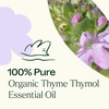 image:imagePlant Therapy Thyme Thymol Organic Essential Oil 10 mL 13 oz 100 Pure Undiluted Powerful WarmHerbaceous Scent