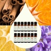 image:imagePlant Therapy Top 14 Organic Essential Oil Singles Set 100 Pure Essential Oils Undiluted Natural Aromatherapy for Diffusion and Body Care 10 mL 13 oz Each