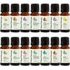 image:imagePlant Therapy Top 14 Organic Essential Oil Singles Set 100 Pure Essential Oils Undiluted Natural Aromatherapy for Diffusion and Body Care 10 mL 13 oz Each