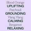 image:imagePlant Therapy Tranquil Essential Oil Blend 10 mL 13 oz 100 Pure PreDiluted RollOn Natural Aromatherapy Excellent for Meditation and Relaxation