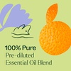 image:imagePlant Therapy Tranquil Essential Oil Blend 10 mL 13 oz 100 Pure PreDiluted RollOn Natural Aromatherapy Excellent for Meditation and Relaxation