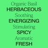image:imagePlant Therapy USDA Certified Organic Basil Linalool Essential Oil 10 mL 13 oz 100 Pure Undiluted Aromatherapy for Muscle Soreness and Digestive Discomfort