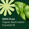 image:imagePlant Therapy USDA Certified Organic Basil Linalool Essential Oil 10 mL 13 oz 100 Pure Undiluted Aromatherapy for Muscle Soreness and Digestive Discomfort