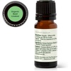 image:imagePlant Therapy USDA Certified Organic Basil Linalool Essential Oil 10 mL 13 oz 100 Pure Undiluted Aromatherapy for Muscle Soreness and Digestive Discomfort