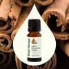 image:imagePlant Therapy USDA Certified Organic Cinnamon Cassia Essential Oil 10 mL 13 oz 100 Pure Undiluted Cozy Aroma Soothes Sore Muscle