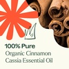 image:imagePlant Therapy USDA Certified Organic Cinnamon Cassia Essential Oil 10 mL 13 oz 100 Pure Undiluted Cozy Aroma Soothes Sore Muscle