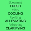 image:imagePlant Therapy USDA Certified Organic Spearmint Essential Oil 10 mL 13 oz 100 Pure Undiluted Digestive Health Fresh Scent