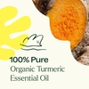image:imagePlant Therapy USDA Certified Organic Turmeric CO2 Essential Oil 10 mL