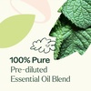 image:imagePlant Therapy Vein Aid Essential Oil Blend PreDiluted RollOn 10 mL 13 oz 100 Pure Stimulating Aromatherapy and Circulation Support