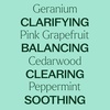 image:imagePlant Therapy Zit Fighter Essential Oil Blend PreDiluted RollOn 10 mL 13 oz 100 Pure Essential Oils Natural Skin Care for Blemish Prone Skin