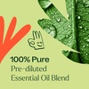 image:imagePlant Therapy Zit Fighter Essential Oil Blend PreDiluted RollOn 10 mL 13 oz 100 Pure Essential Oils Natural Skin Care for Blemish Prone Skin