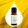 image:imageYlang Ylang Complete Organic Essential Oil 10 mL 13 oz100 Pure USDA Certified Organic Undiluted Natural Aromatherapy Romantic Soothing Scent