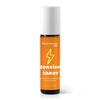 image:imagePlant Therapy Kids Tension Tamer Essential Oil Blend PreDiluted RollOn 10 mL 13 oz 100 Pure Tension Headache Relief for Head and Neck